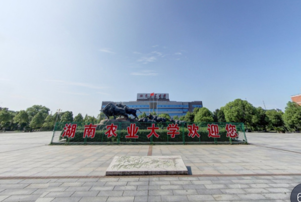2018-2019湖南农林类大学排名