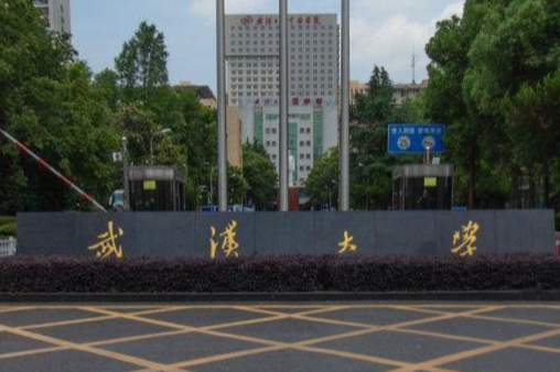2019武汉985大学名单排名-武汉有哪些985大学
