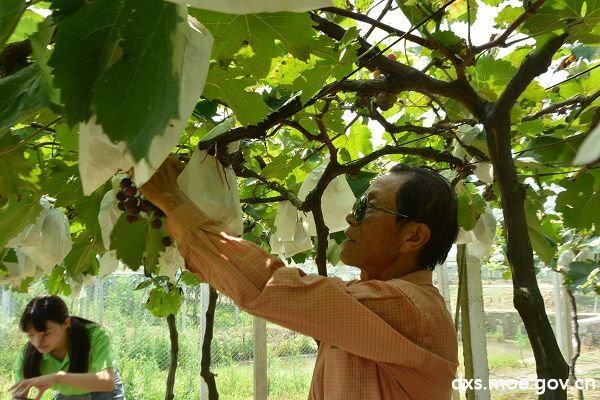 【我与祖国共成长】巢院学子调研一村一品优势 共践乡村振兴
