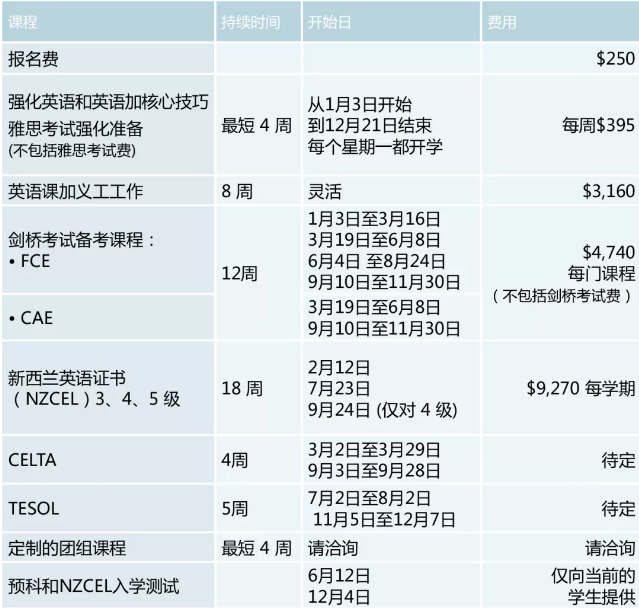 2019年在Ara坎特伯雷理工学院就读是什么体验？