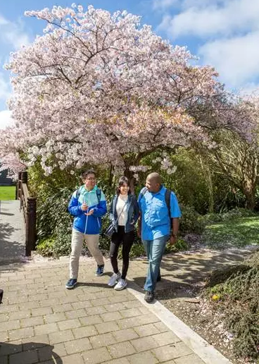 坎大的留学生活到底什么样？学长送给你这份最详尽的体验攻略