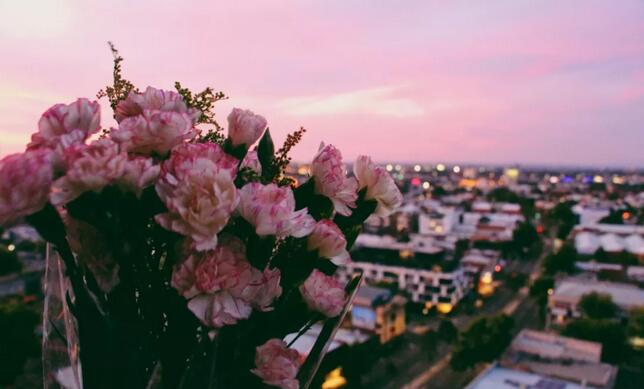 有人问我是不是在天堂，我只是在澳洲墨尔本看夕阳