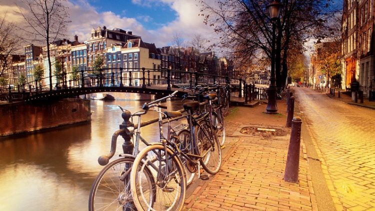 对于荷兰交通规则你了解多少？