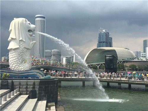 新加坡留学签证如何申请？