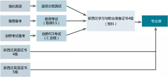 2019年在Ara坎特伯雷理工学院就读是什么体验？