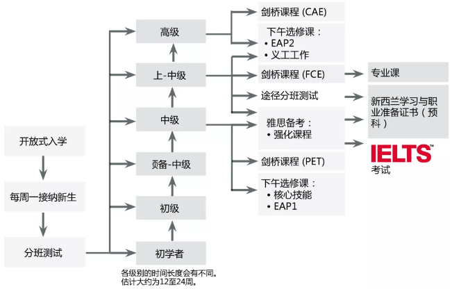 2019年在Ara坎特伯雷理工学院就读是什么体验？