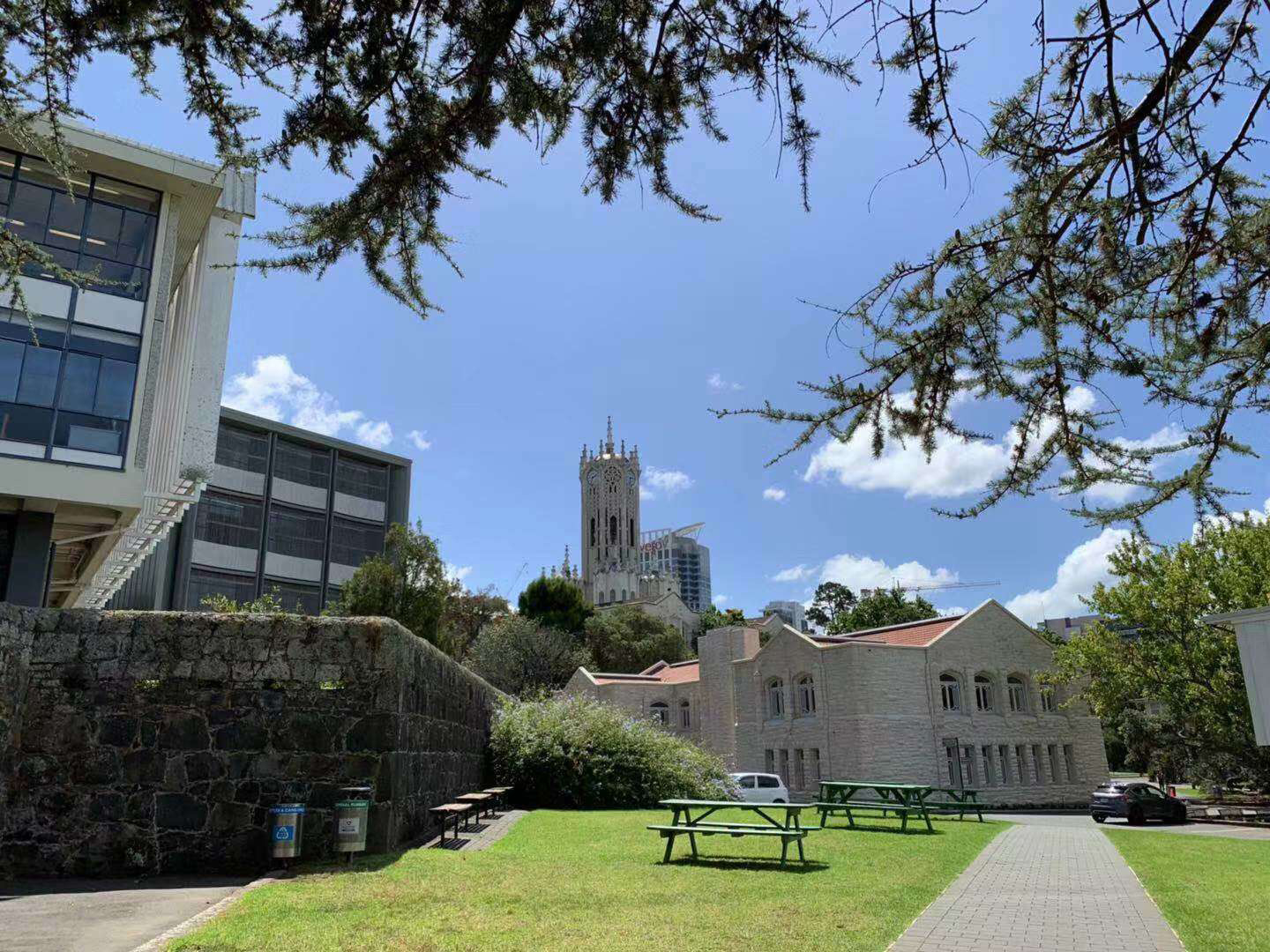 新西兰留学：UP国际学院与奥克兰大学为合作伙伴