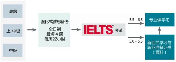 2019年在Ara坎特伯雷理工学院就读是什么体验？