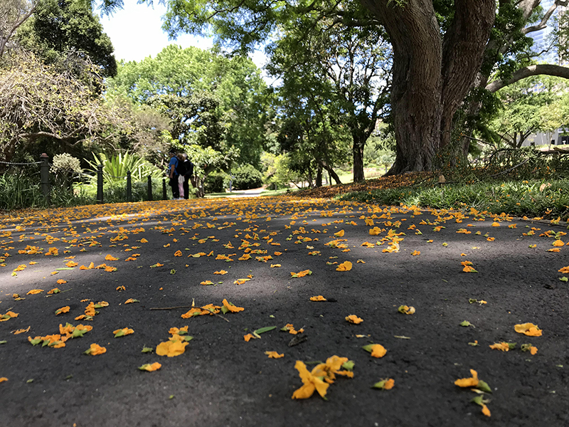 留学得赶早，澳洲留学2020年最新学费出炉