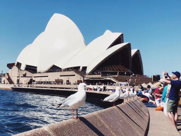 你将赴澳洲留学的城市天气如何你知道吗？知道几月份去哪里旅游最适合吗？