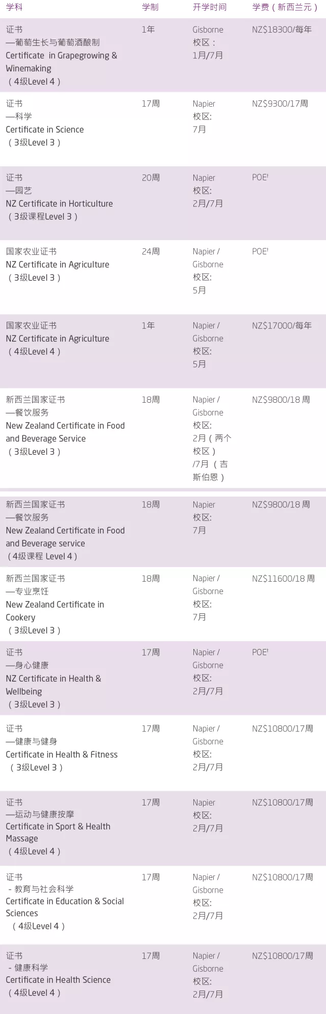 2019年在东部理工学院就读是什么体验？