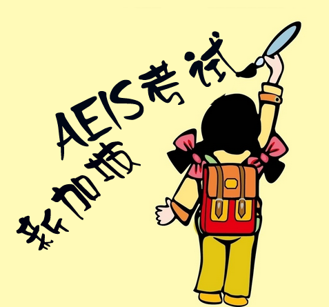 新加坡留学除了AEIS，还可以有别的选择你知道吗