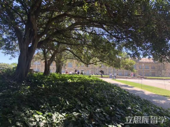 澳洲留学之语言课程申请