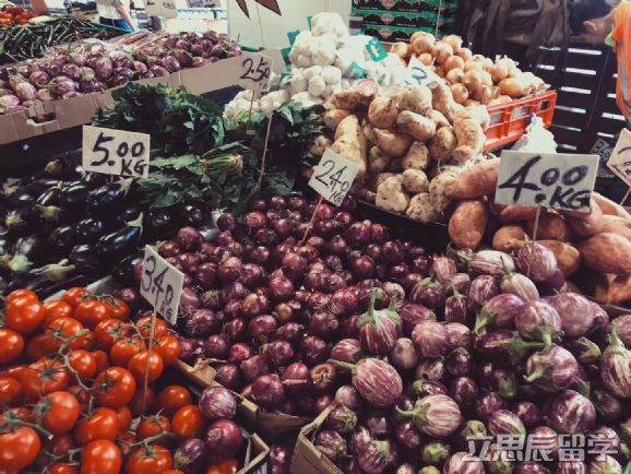 澳洲留学城市衣食住行大比拼，你会选哪座城市？