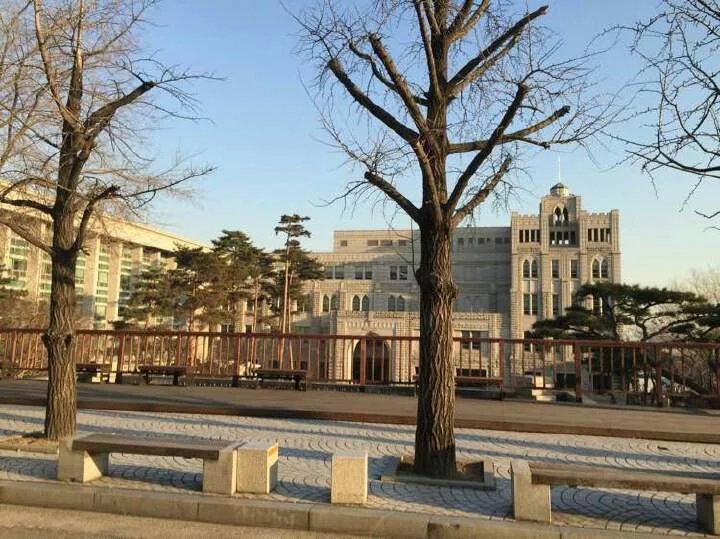 与顾问完美配合，顺利拿下韩国SKY之一高丽大学