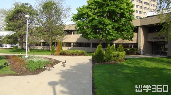 留学云推荐：高考生留学加拿大，选大学还是选学院？