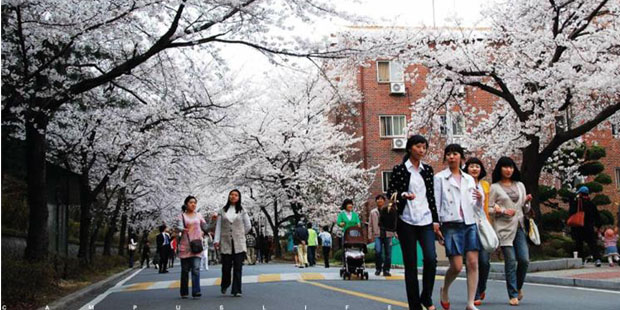 韩国留学：高考后选择去韩国留学的理由