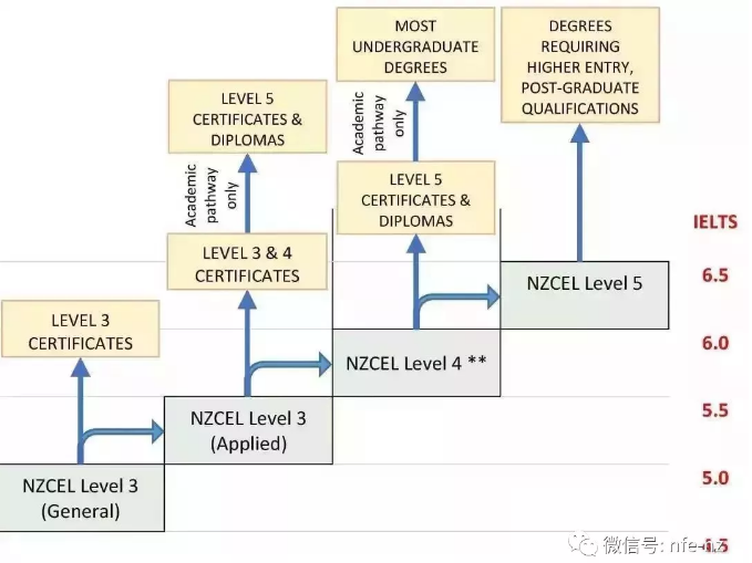 不用考雅思也可以轻松上奥大，奥大承认NZCEL Level 4 与 Level 5