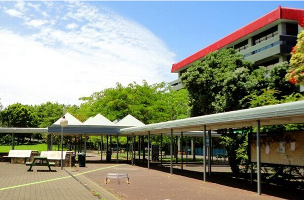 新西兰理工学院护理本科学费