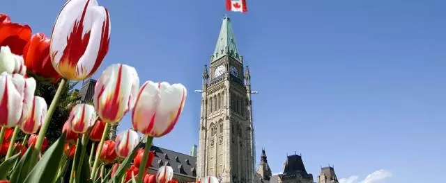 如何准备一份完美的加拿大留学推荐信？