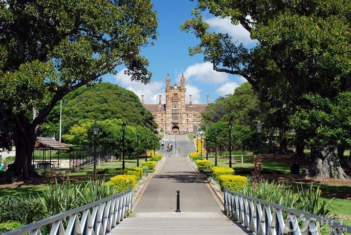 悉尼大学兽医学院中国留学生多吗