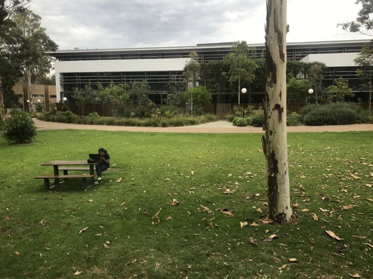 这些澳大利亚大学，实力和颜值双在线！