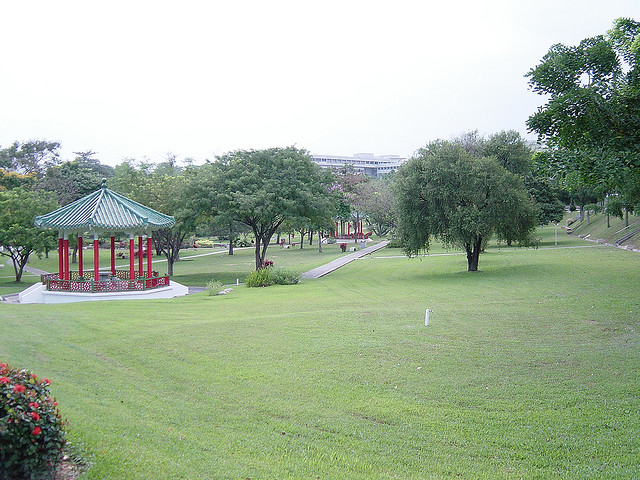 高考学子留学新加坡毕业回国不用愁，新加坡正式实现留学生学历学位全面实时在线快捷认证了！