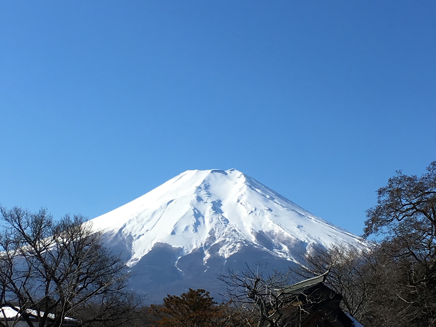 申请日本留学语言学校，入学时间要如何选择？