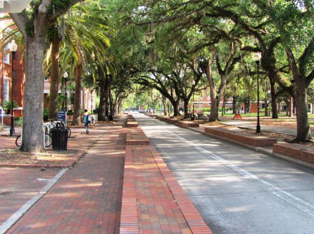 佛罗里达大学和普林斯顿大学哪个好？