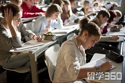 美国纽约大学所有专业