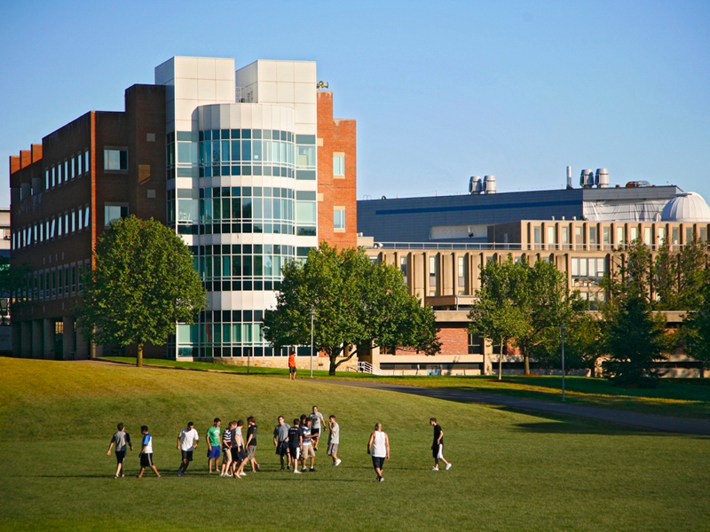 布兰迪斯大学和西北大学哪个好？