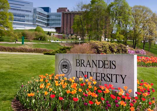 布兰迪斯大学和密歇根大学安娜堡分校哪个好？