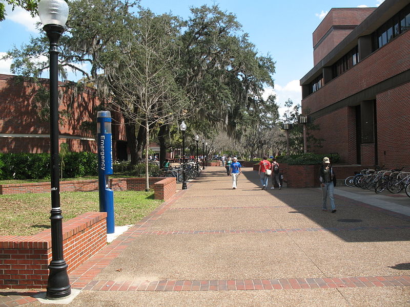 佛罗里达大学和弗吉尼亚大学哪个好？