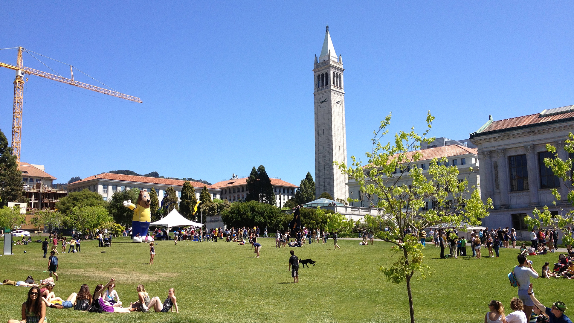 加州大学伯克利分校政治学系申请有什么要求？
