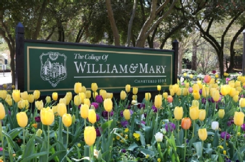 威廉玛丽学院和美国东北大学哪个好？
