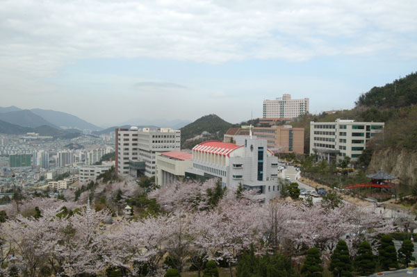 去韩国留学怎么能不知道这些就业率超高的专业呢？