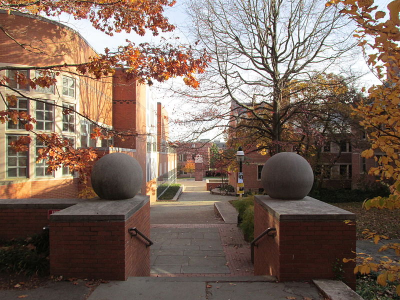 普林斯顿大学和杜克大学哪个好？