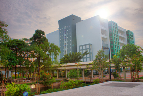 泰国国王科技大学排名解析