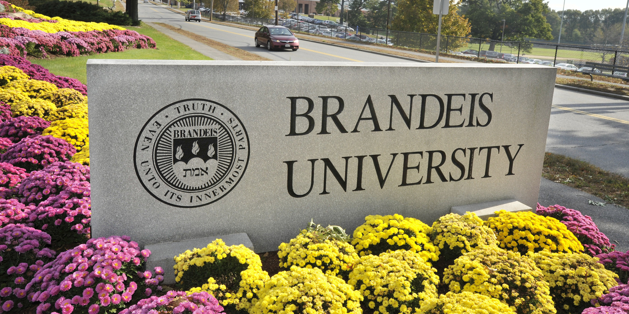 布兰迪斯大学申请条件有哪些？