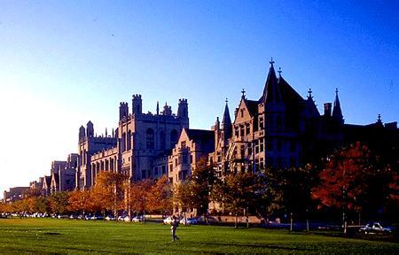 芝加哥大学和斯坦福大学哪个好？