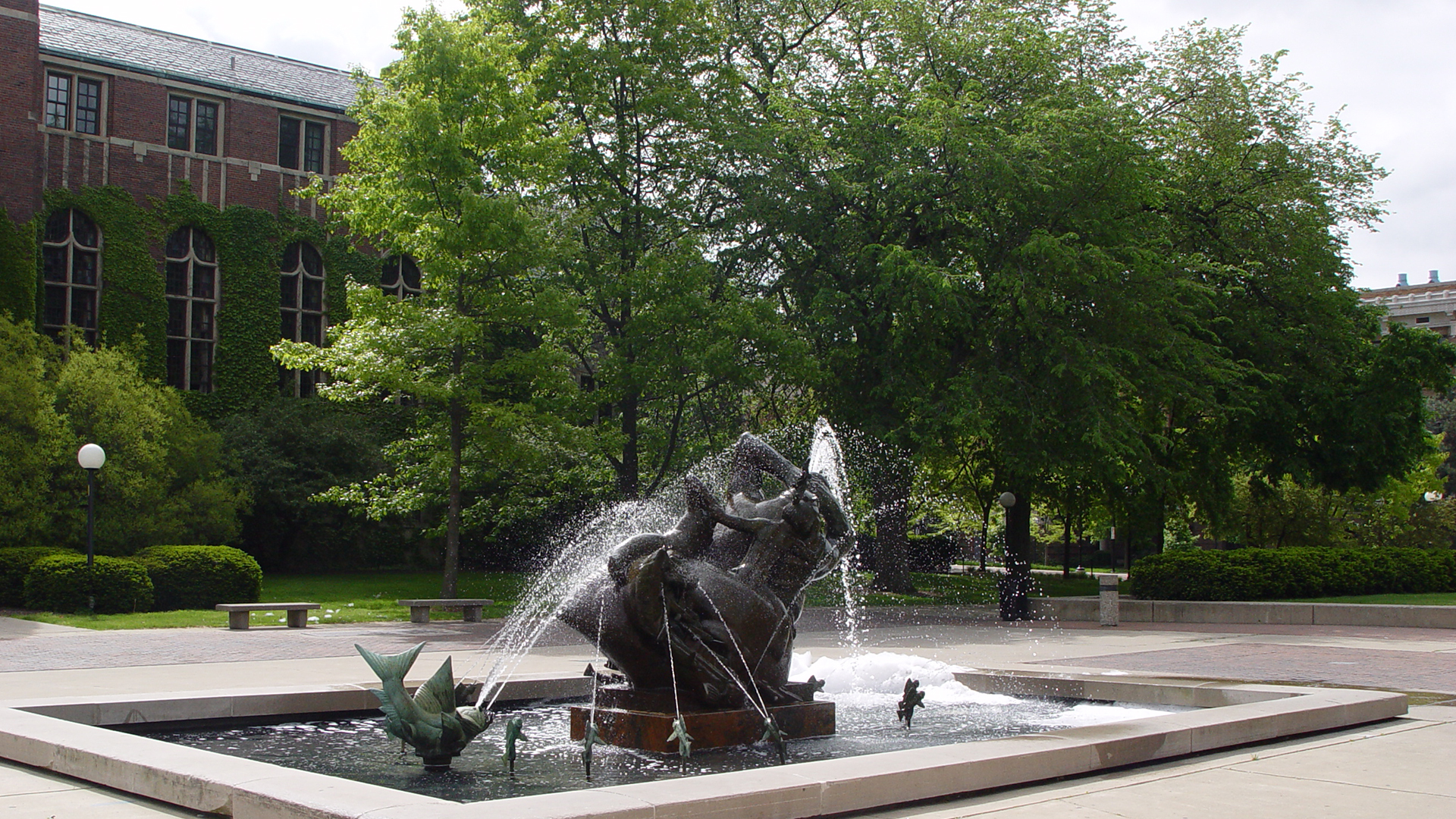 密歇根大学安娜堡分校和弗吉尼亚大学哪个好？