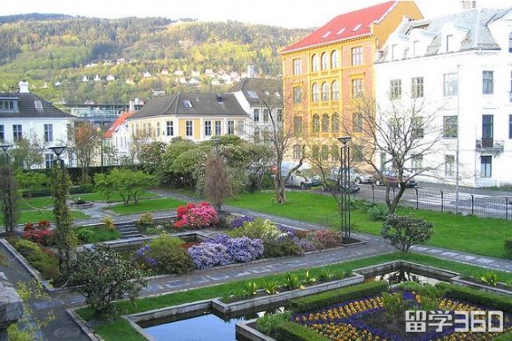 心之所向，披荆斩棘，挪威卑尔根大学offer喜到手！