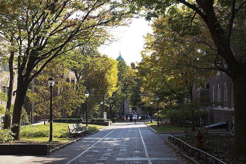 宾夕法尼亚大学和普林斯顿大学哪个好？