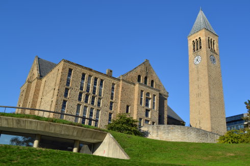 康奈尔大学和塔夫斯大学哪个好？
