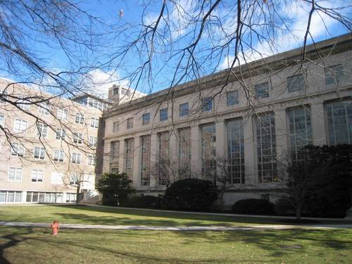 麻省理工学院和普林斯顿大学哪个好？