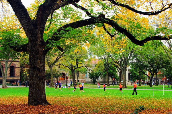 布朗大学和北卡罗来纳大学教堂山分校哪个好？
