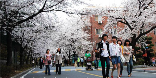 韩国留学,从小目标开始
