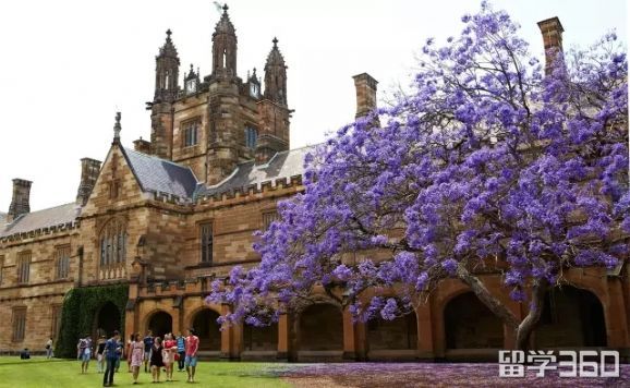 2018年悉尼大学本科如何申请