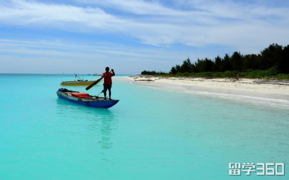 高考401分能上马来西亚泰莱大学吗