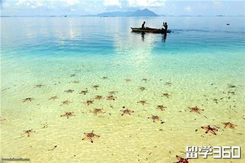 高考361分能上马来西亚英迪大学吗